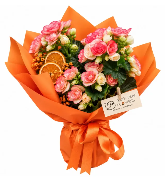 Mandarine Prestige, Turuncu Begonya Hediye
